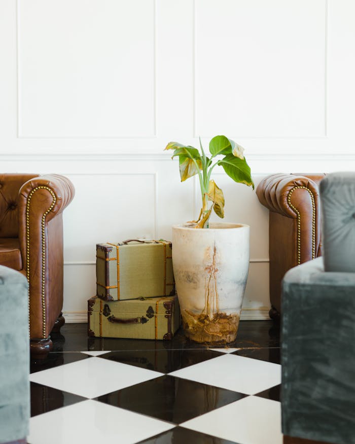 Chic living room with vintage suitcases, potted plant, and classic furniture. Perfect for interior design inspiration.
